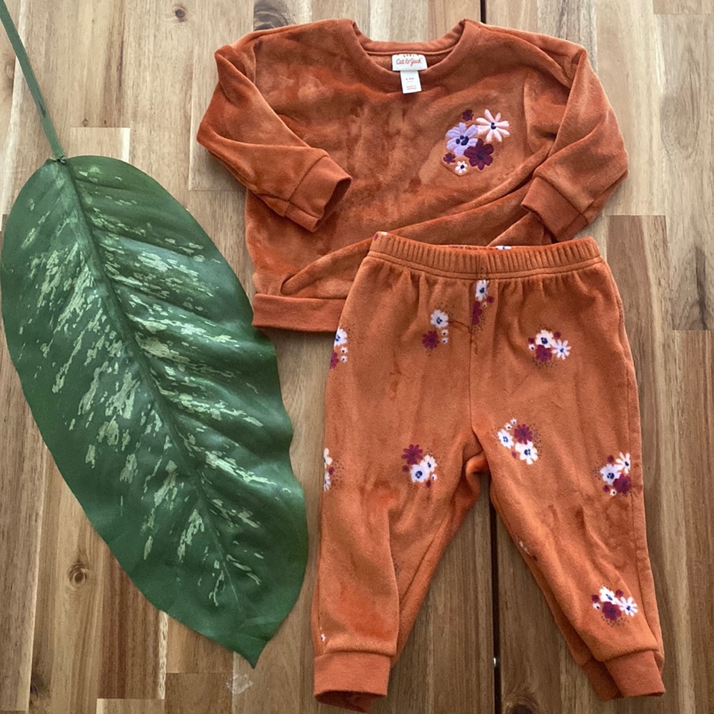 Velour sweater set 6-9 month